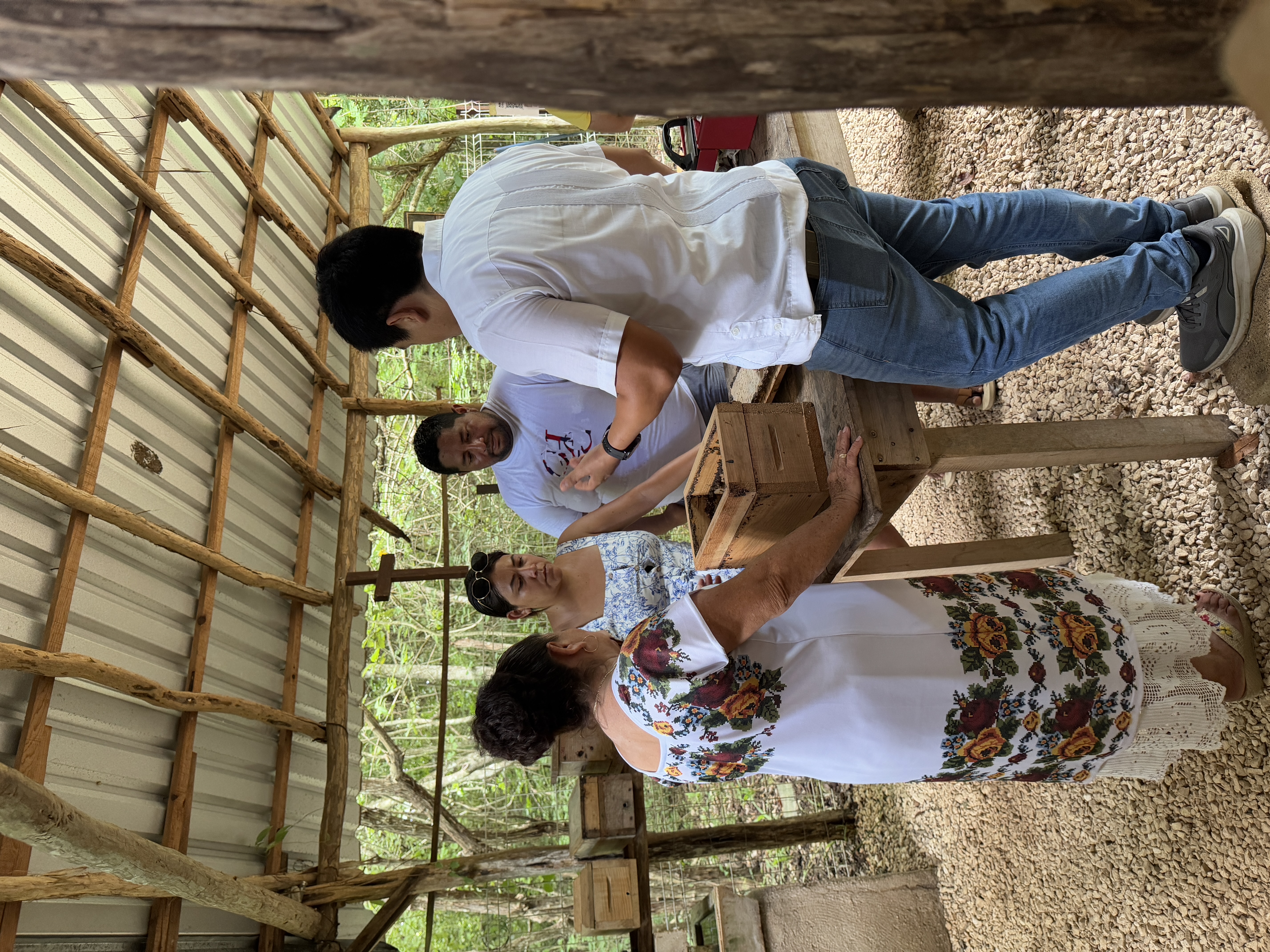 Tours educativos de abejas